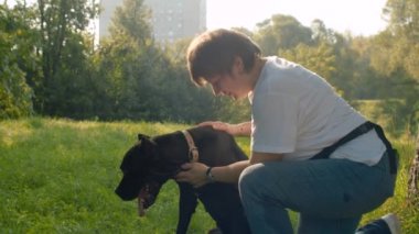 Two black boxer dogs and their owner in the park