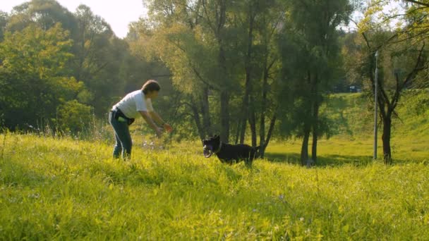 Frau spielt mit schwarzem Boxerhund — Stockvideo