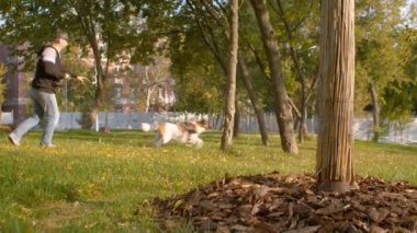 Middle aged man walking with the dog