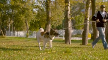 Owner and the dog running in the park