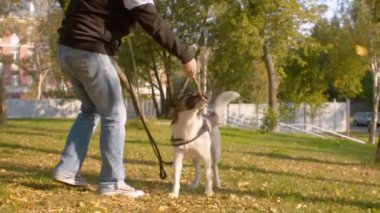 Parkta köpekle oynayan adam.