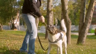 Parkta oynayan adam ve köpek.