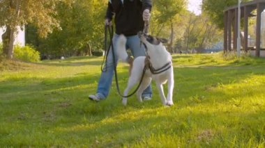 Parkta oynayan adam ve köpek.