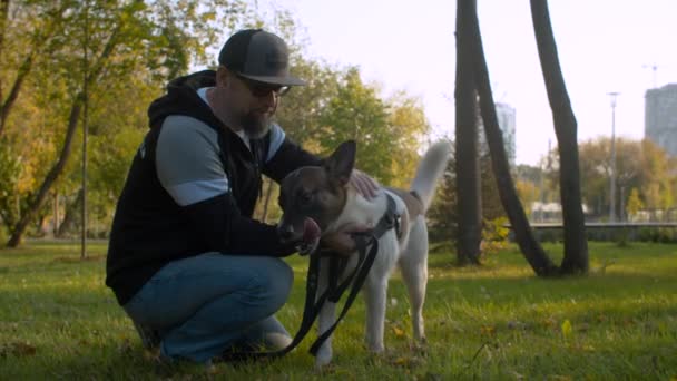 Muž středního věku se psem v parku — Stock video