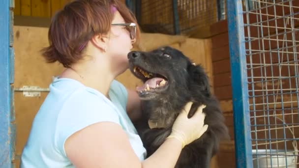 Женщина-волонтер ласкает собаку в приюте — стоковое видео