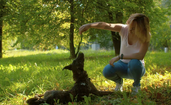 Dáma si zahrává se psem v parku. — Stock fotografie