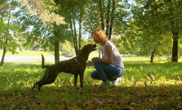 Mujer joven con el perro en el parque — Foto de Stock