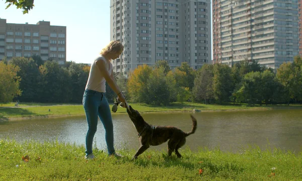 彼女の犬と遊ぶ若い女性の所有者 — ストック写真