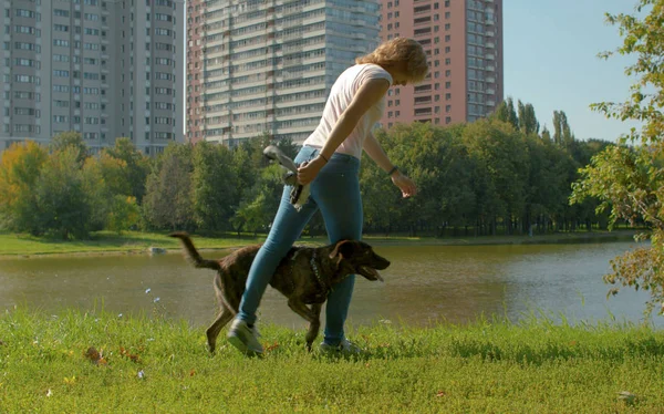 Treinador de cães jovens com um cão em um parque — Fotografia de Stock