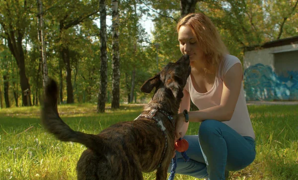 Los mejores amigos - la señora guapa y su perro inteligente — Foto de Stock