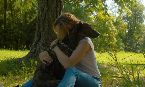 Mulher atraente gentilmente abraçando seu bom cão — Fotografia de Stock