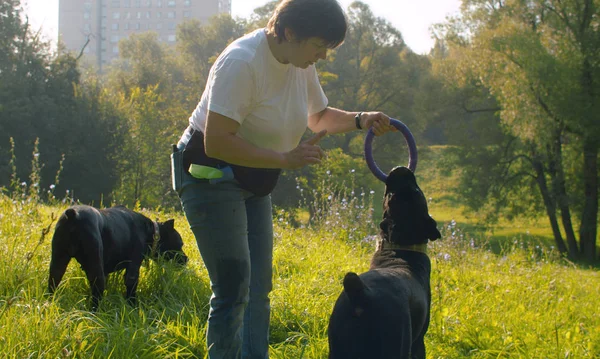 Donna che gioca con il cane pugile nero — Foto Stock