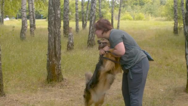 Frau geht freiwillig mit Hund aus Tierheim spazieren — Stockvideo