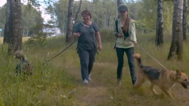 Twee vrouwen vrijwilligers lopen met een hond — Stockvideo