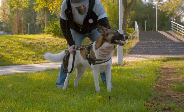 Hombre de mediana edad con el perro en el parque — Foto de Stock