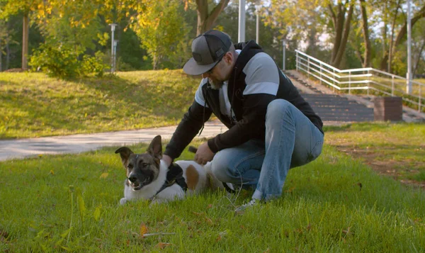Hombre de mediana edad con el perro en el parque — Foto de Stock