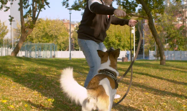 Mann spielt mit Hund im Park — Stockfoto