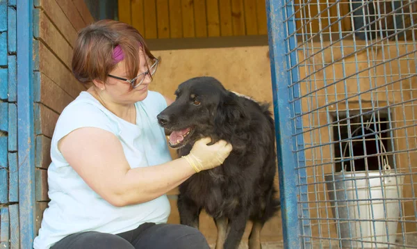 Vrijwilliger in de kinderkamer voor honden — Stockfoto