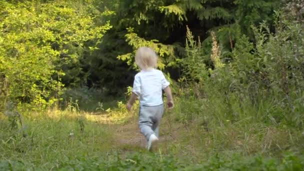 Niño caminando por el sendero del bosque — Vídeos de Stock