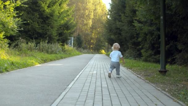 Niño caminando por el camino en el parque — Vídeos de Stock