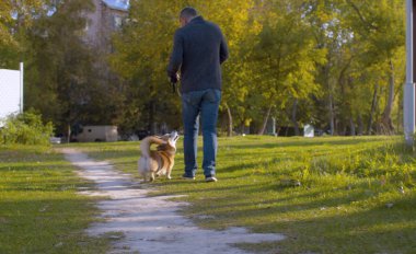 Corgi köpeğiyle yürüyen adam.