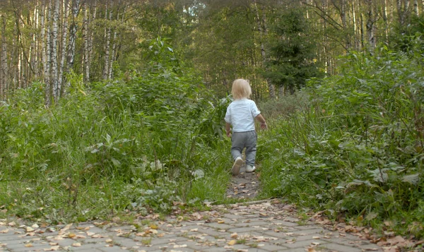 Malý chlapec kráčí po stezce v lese — Stock fotografie