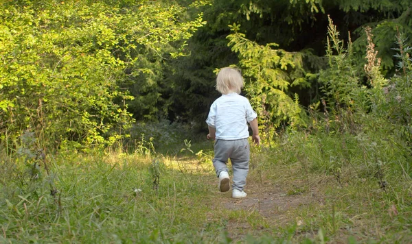 Niño caminando por el sendero del bosque —  Fotos de Stock