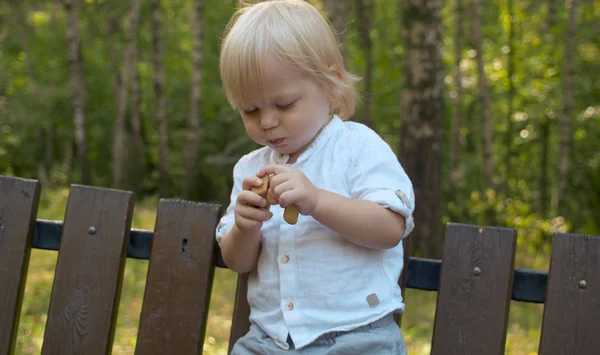 Retrato de un niño divertido comiendo galletas —  Fotos de Stock