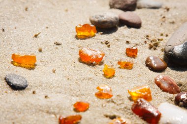Baltık plajında Amber