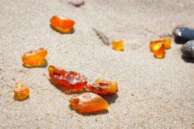Baltık plajında Amber
