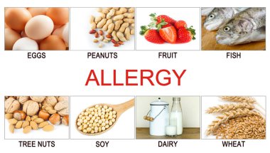 Alerji yemek konsepti. Yumurta, süt, meyve, ağaç fındığı, fıstık, soya, buğday ve balık gibi gıda alerjileri.