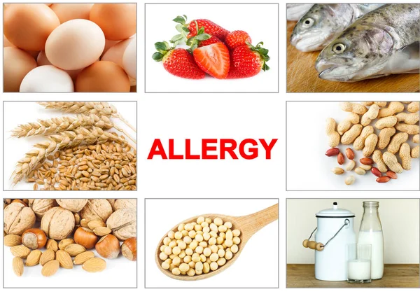 Allergy food concept. Food allergens as eggs, milk, fruit, tree nuts, peanut, soy, wheat and fish. Text 