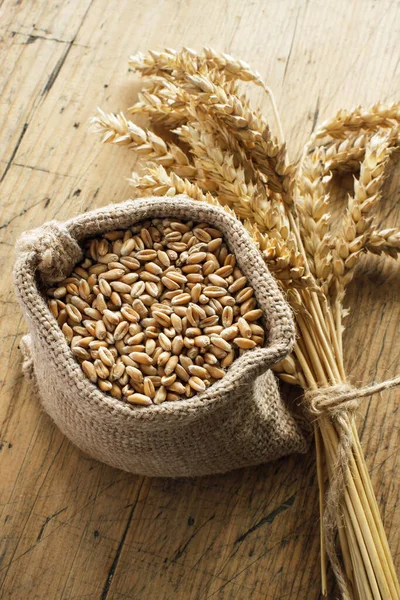 小さなキャンバスの袋に小麦の穀物 — ストック写真