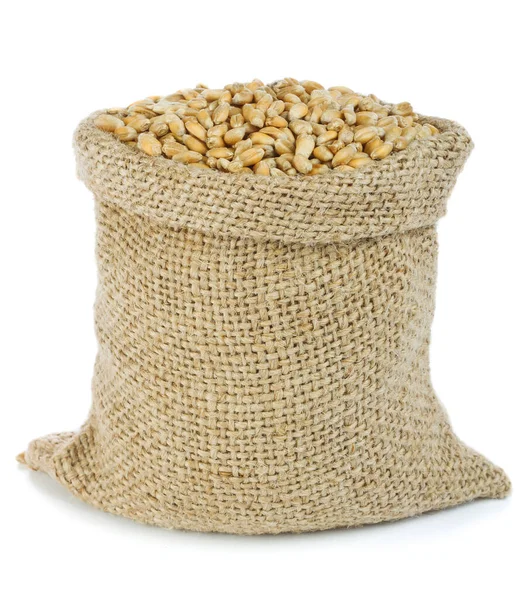 Spelt Burlap Bag — Stock Photo, Image