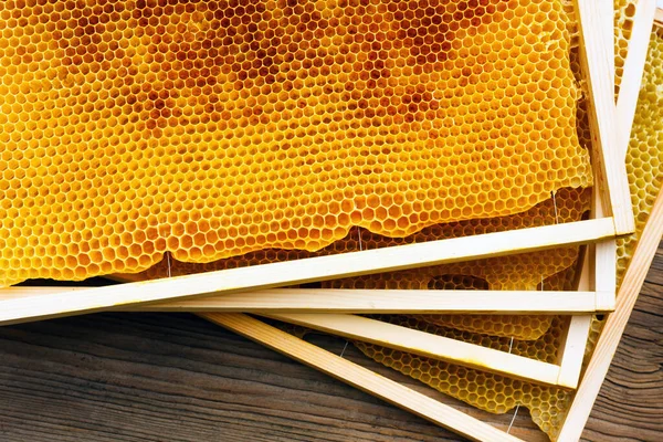 Honeycomb in beehive, closeup