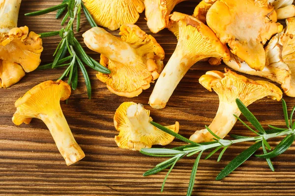 Kuning Chanterelles Meja Kayu — Stok Foto