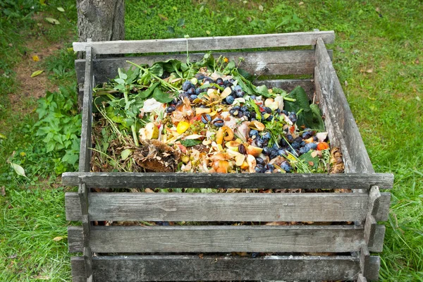 Tempat Sampah Kompos Taman Mengomposisi Tumpukan Buah Dapur Yang Membusuk — Stok Foto