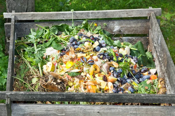Tempat Sampah Kompos Taman Mengomposisi Tumpukan Buah Dapur Yang Membusuk — Stok Foto