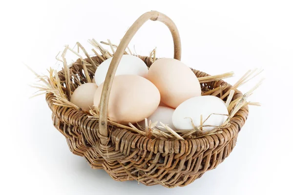 Fresh Eggs Farm Gmo — Stock Photo, Image