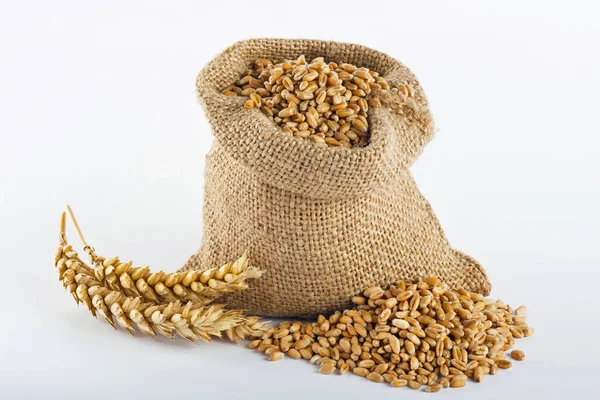 Grano Trigo Pequeño Saco Arpillera — Foto de Stock