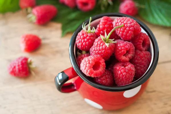 Küçük bardakta ahududu. Alanın ince derinliği