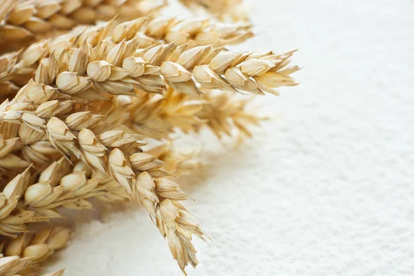 Scattered Wheat Flour Table Background Wheat Spike — Stock Photo, Image