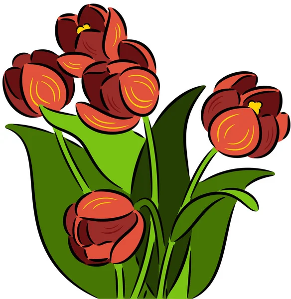 Tulip Flowers — Stock Vector