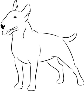 boğa korkunç köpek 