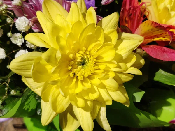 Fundo Flores Para Cena Casamento Buquê Flores Mistas — Fotografia de Stock