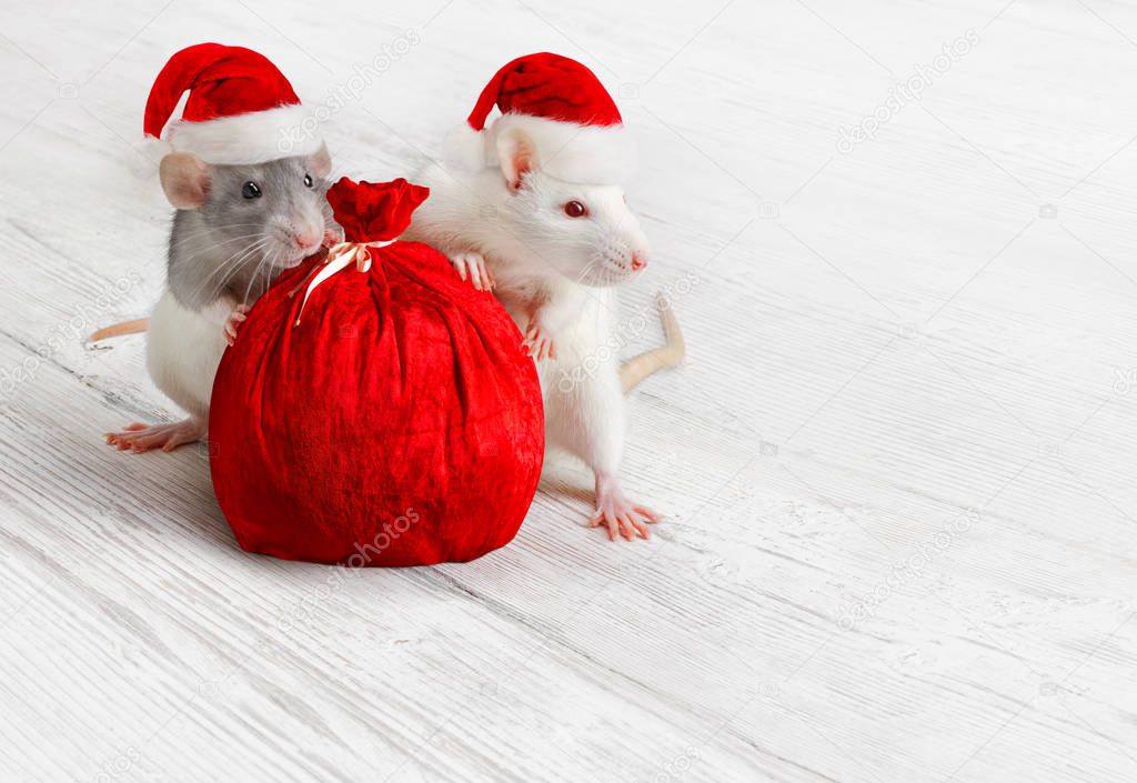 Christmas Rats with Santa Claus Bag, New Year Animals with Sack 