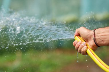 hosepipe tutarak ve sera bitkilerde sulama erkek çiftçi el