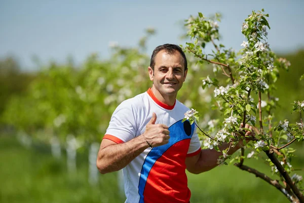 骄傲成熟的农夫在阳光明媚的日子站在苹果树果园里 露出大拇指 — 图库照片