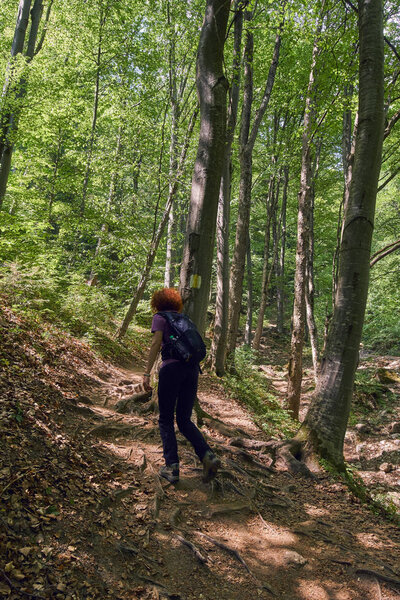 Woman hiker with backpack on a trail in the mountains