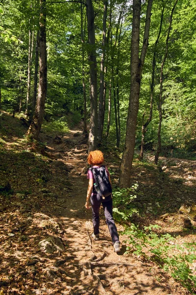 Mujer Excursionista Con Mochila Sendero Las Montañas —  Fotos de Stock